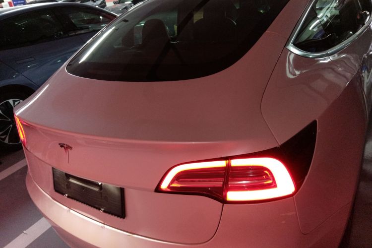 特斯拉 Model 3(进口) 2019款 长续航后驱版车身外观6