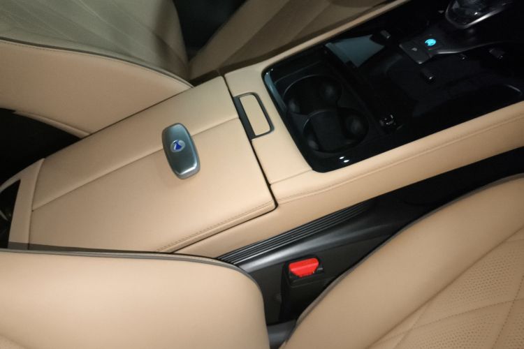 腾势D9 2022款 DM-i 1040 尊贵型中控内饰7001