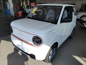 吉利银河 2024款 熊猫mini 200km 耐力熊