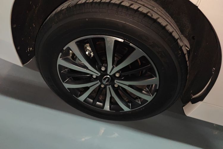 广汽传祺 传祺M8 2024款 领秀系列 390T 豪华版车身外观6008