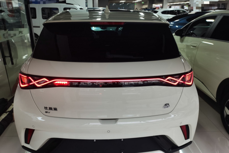 比亚迪 海豚 2023款 420km 时尚版车身外观6004