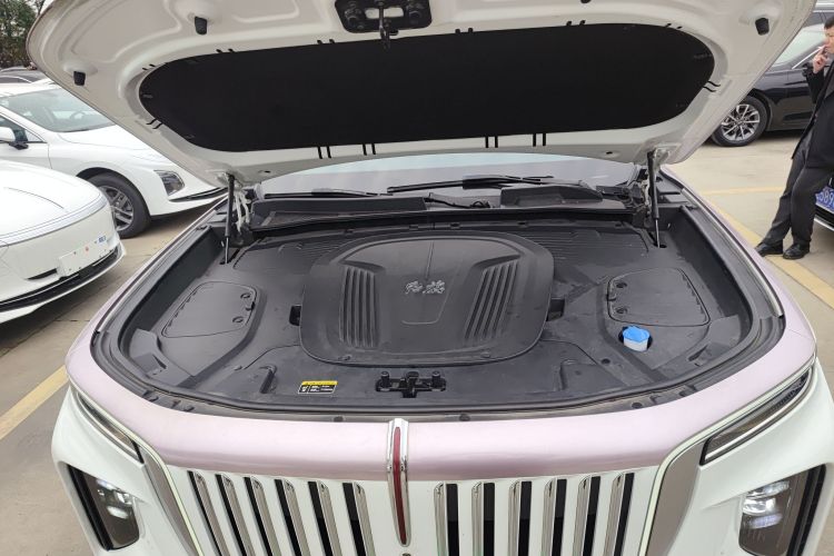 红旗E-HS9 2021款 460km 旗享版 六座局部细节24