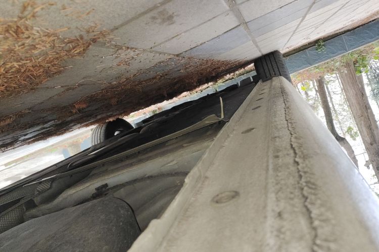 福特 福睿斯 2019款 改款 1.5L 手动质享型（胎压监测） 国VI局部细节9002