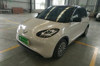 五菱汽车 五菱缤果 2023款 333km 快享款