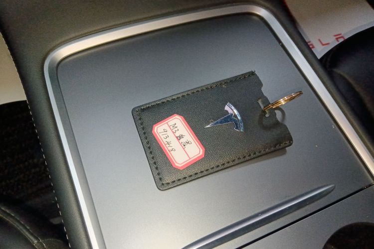 特斯拉 Model 3 2022款 后轮驱动版中控内饰7001