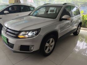 大众 途观 2013款 1.8TSI 自动两驱舒适版