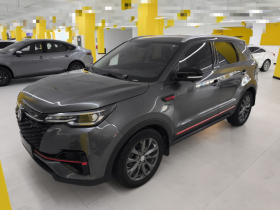 长安CS55PLUS 2021款 蓝鲸版 1.5T DCT尊贵型