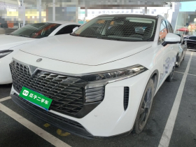 启辰大V 2023款 260T 天王版 Pro