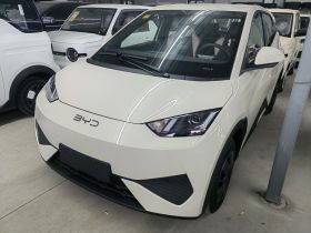 比亚迪 海鸥 2025款 智驾版 305km 活力版