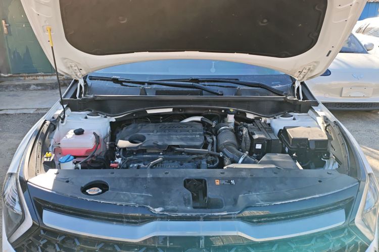 起亚 狮铂拓界 2023款 2.0T 两驱尊贵版局部细节24