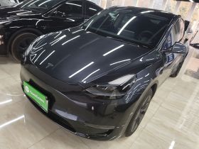 特斯拉 Model Y 2024款 长续航全轮驱动版