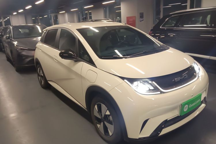 比亚迪 海豚 2023款 420km 自由版车身外观3