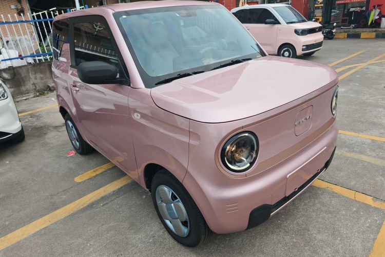 吉利银河 2024款 改款 熊猫mini 200km 龙腾版车身外观3