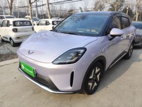 五菱汽车 缤果S 2025款 430km 旗舰款