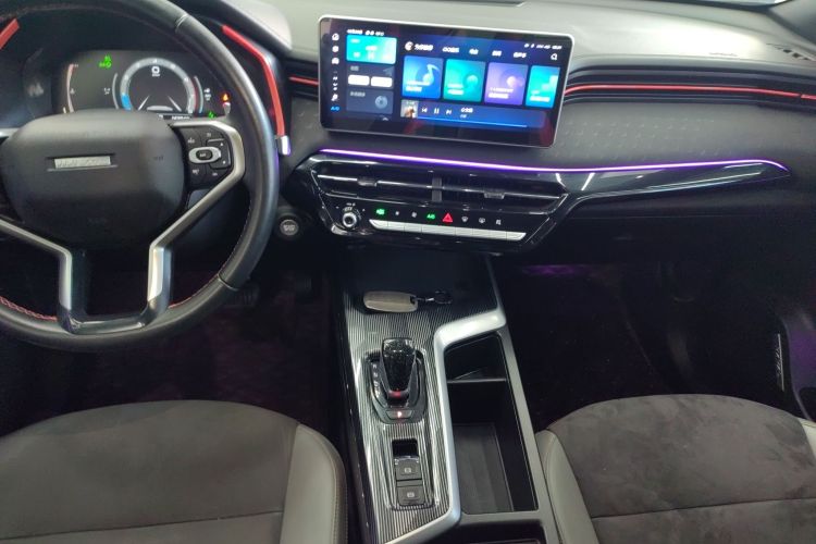 哈弗赤兔 2021款 激擎版 1.5T 黄金兔中控内饰16