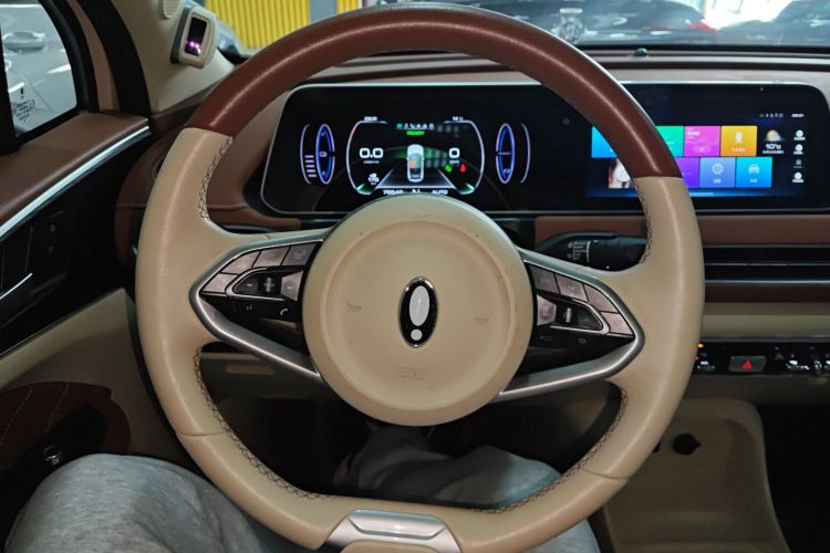 欧拉好猫 2021款 400km标准续航 雅典娜版 磷酸铁锂局部细节13