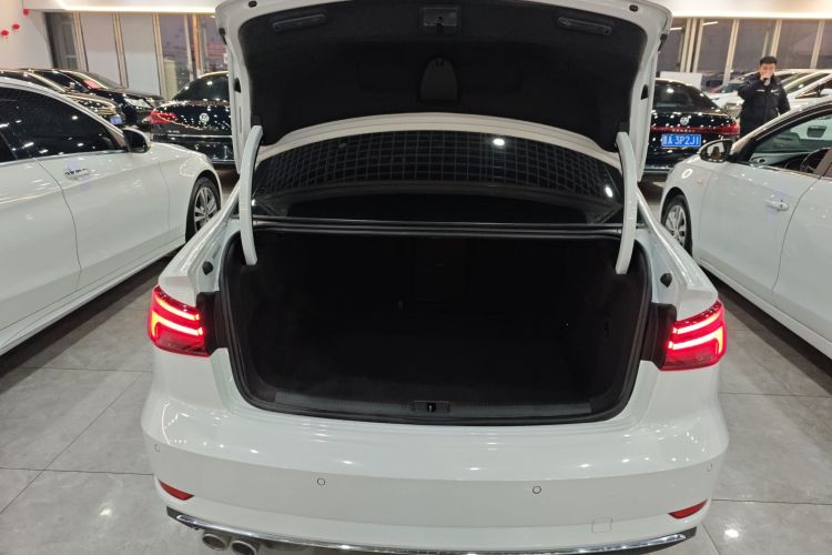 奥迪A3 2019款 Limousine 35 TFSI 进取型 国VI局部细节23