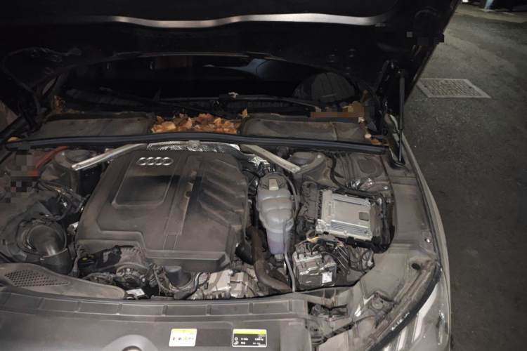 奥迪A4L 2023款 40 TFSI 豪华动感型局部细节9007