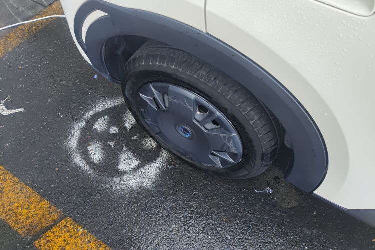 比亚迪 海鸥 2025款 305km 活力版车身外观6008