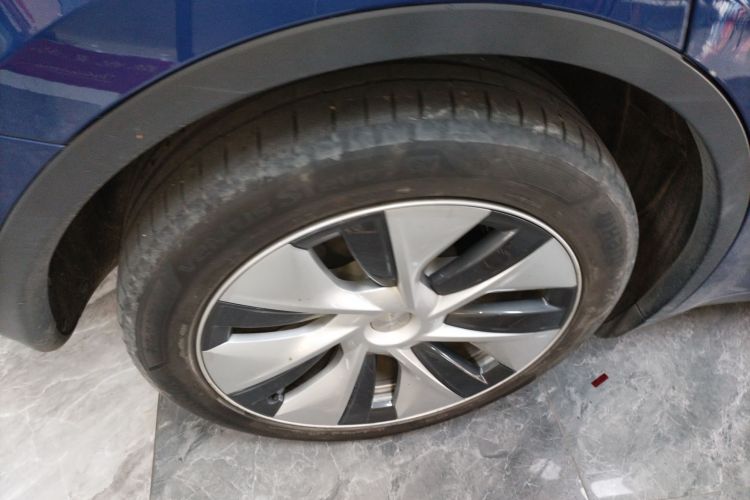 特斯拉 Model Y 2021款 标准续航后驱版车身外观6008