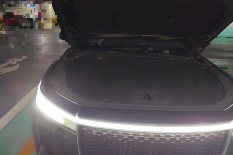 理想汽车 理想ONE 2020款 增程6座版局部细节9006