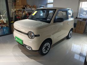 吉利银河 熊猫 2025款 210km 元气熊