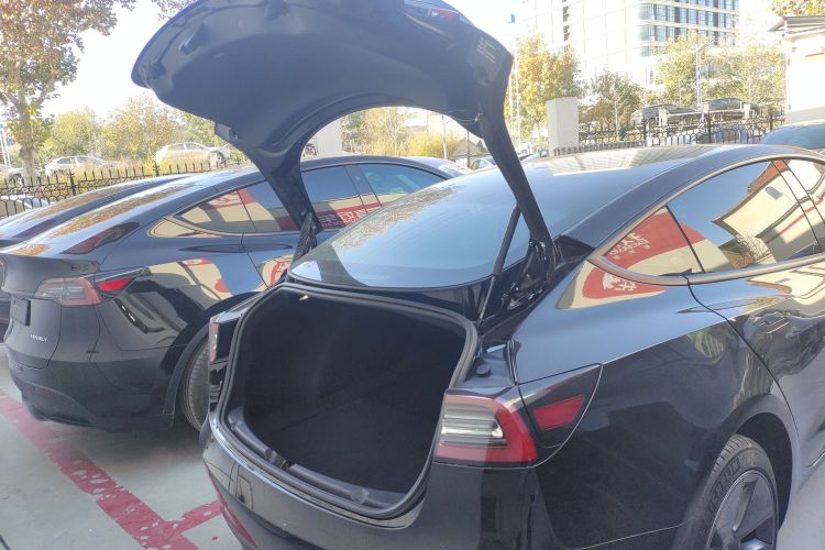 特斯拉 Model 3 2021款 标准续航后驱升级版局部细节23