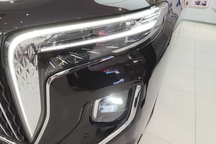 红旗HQ9 PHEV 2024款 2.0T 四驱豪华版局部细节36