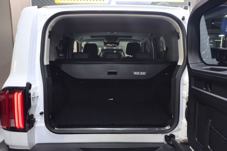 坦克300 2021款 城市版 2.0T 很有型机舱底盘23