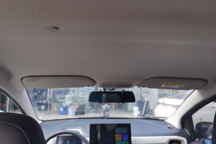 思皓 2022款 花仙子款 四叶草局部细节22