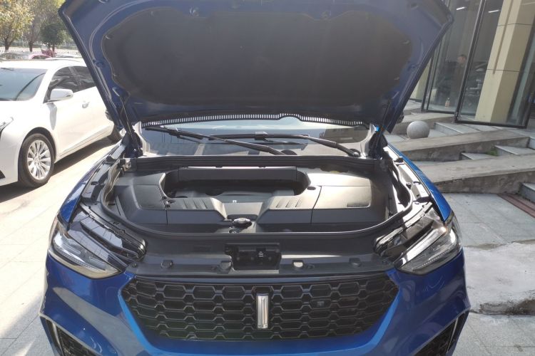 魏牌 VV6 2018款 2.0T 两驱超豪型 国V局部细节24