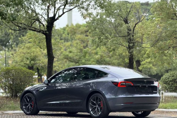 特斯拉 Model 3 2021款 改款二 Performance高性能全轮驱动版车身外观6003