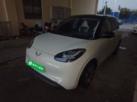 五菱汽车 五菱缤果 2024款 333km 悦享款