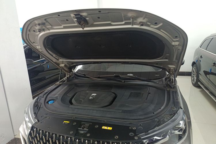 奔腾T99 2020款 20TD 自动豪华型机舱底盘24