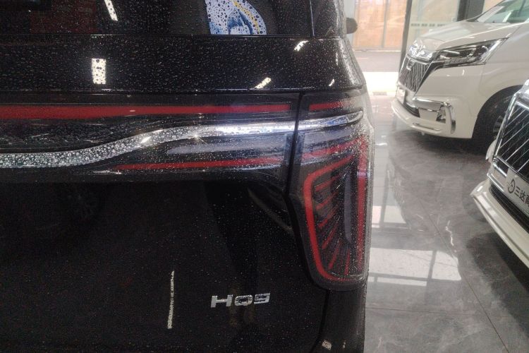 红旗HQ9 2024款 2.0T 商务版车身外观6006