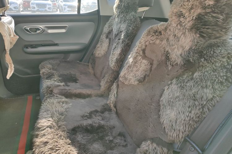 埃安 AION Y 2023款 Younger 星耀版中控内饰7004