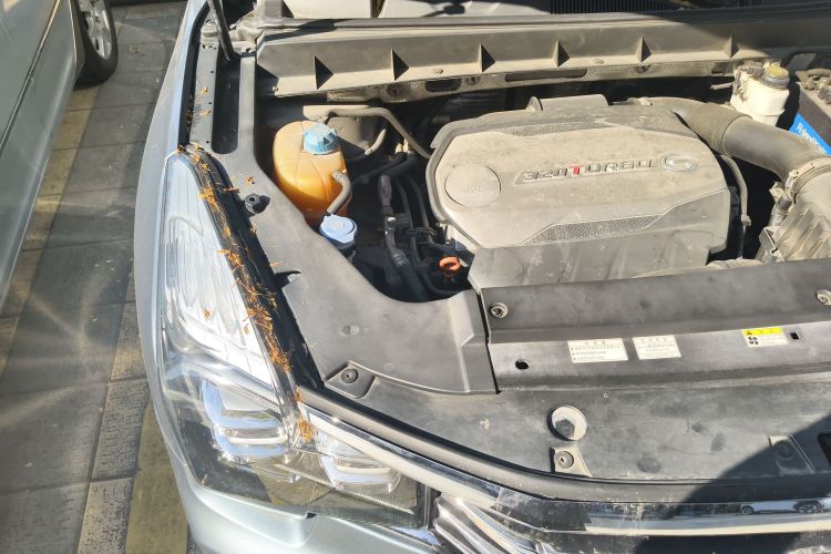 广汽传祺 传祺GS8 2017款 320T 两驱豪华智联版（七座）局部细节9006