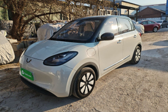 五菱汽车 五菱缤果 2023款 333km 灵犀互联款