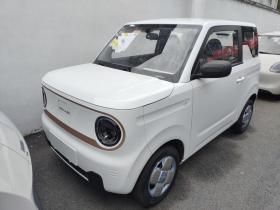 吉利银河 2024款 熊猫mini 200km 耐力熊