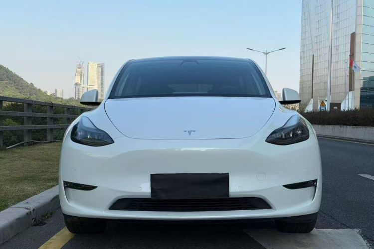 特斯拉 Model Y 2021款 长续航全轮驱动版车身外观2