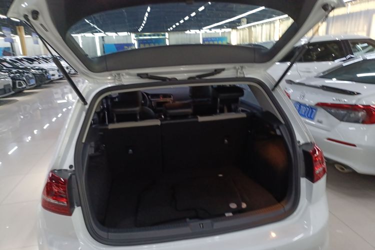 大众 高尔夫 2017款 230TSI 自动豪华百万辆纪念版局部细节23