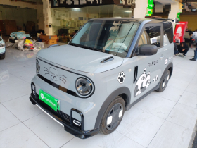 吉利银河 2024款 熊猫mini 200km 龙腾版