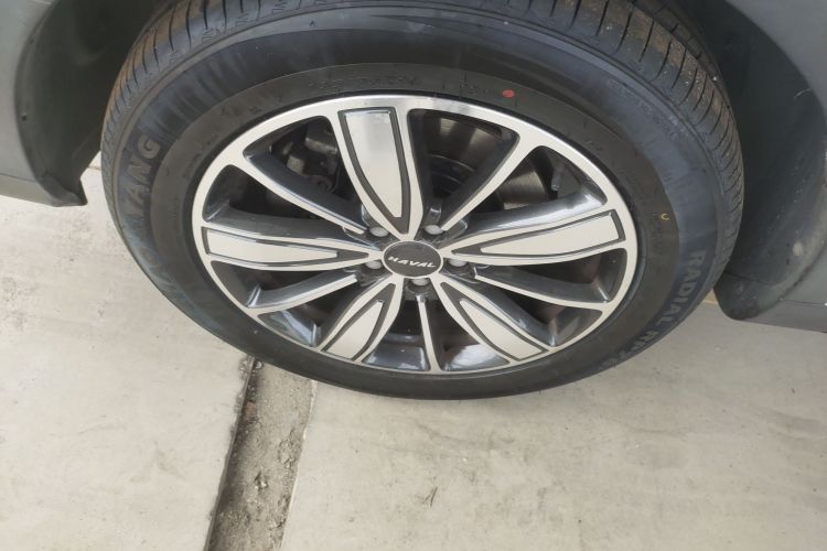 哈弗H6 2021款 1.5T 自动冠军版车身外观6001