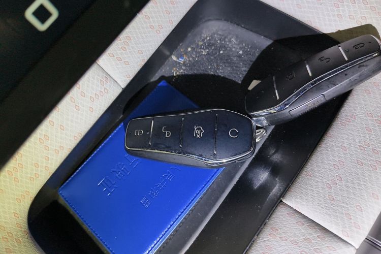 比亚迪 海豚 2021款 405km 自由版中控内饰7001