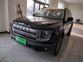 哈弗大狗 2024款 1.5T DCT边牧版