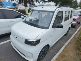 五菱汽车 五菱之光新能源 2025款 305km 进取型