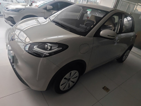 五菱汽车 五菱缤果 2024款 203km 轻享款