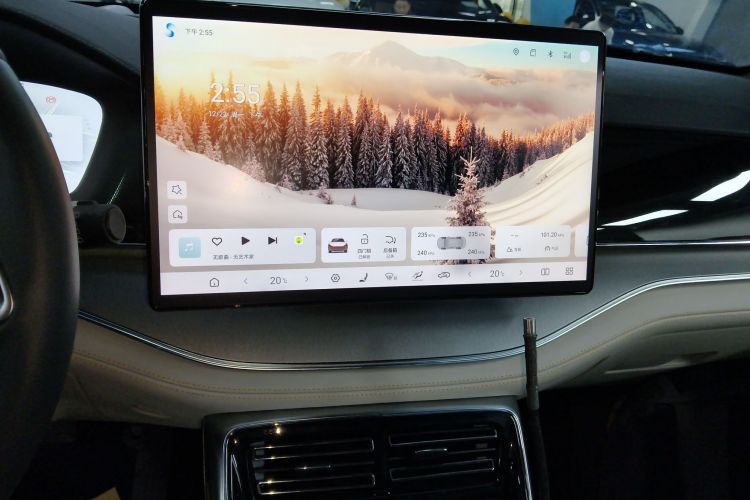 比亚迪 唐新能源 2024款 DM-p 冠军版 215KM 四驱旗舰型局部细节16