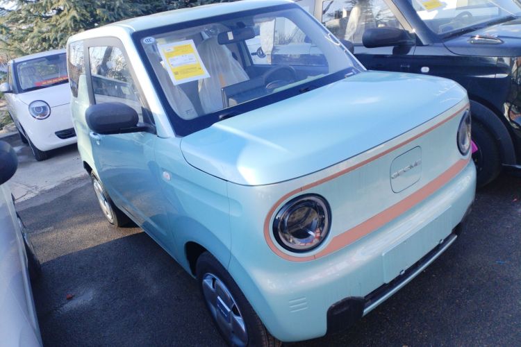 吉利银河 2024款 熊猫mini 200km 耐力熊车身外观3
