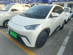 比亚迪 海鸥 2025款 305km 活力版